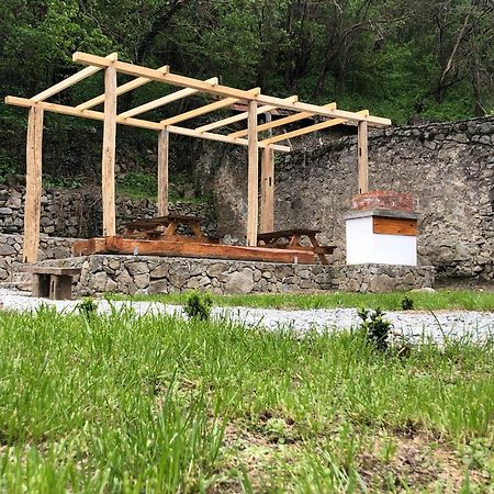 Sasca 362 Ap2 Villa Sasca Montană Dış mekan fotoğraf